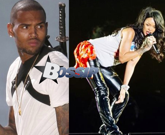 Chris Brown Attends Rihanna And Eminem's 'Monster Tour'