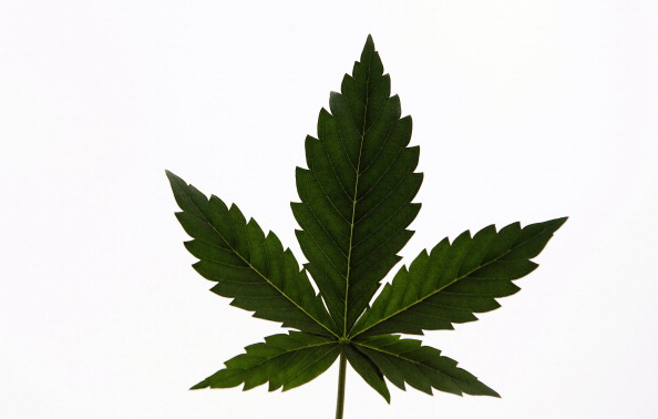 Colorado Has Taken the Marijuana Game to the Next Level