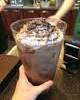 Guy Orders World's Most Expensive Starbucks Drink