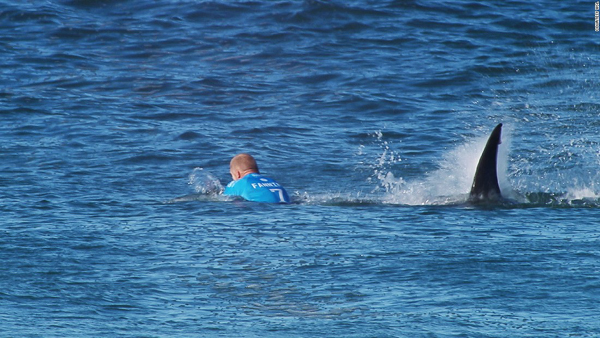 Pro Surfer Gets Attacked By Great White Shark On Film During Tournament!