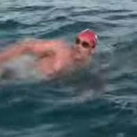 VIRAL RIGHT NOW: Dolphins Protect Swimmer from Shark