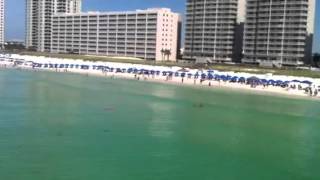 VIRAL RIGHT NOW: "Get Out of the Water" Shark Scare