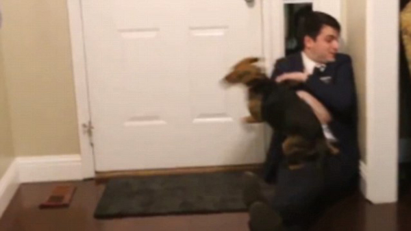 WATCH: Dog Sees His Owner For First Time In Two Years!!!