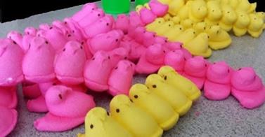 WATCH: Guy eats 100 Peeps in two minutes