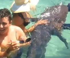 Watch: Shark Pukes on a Guy's Face!
