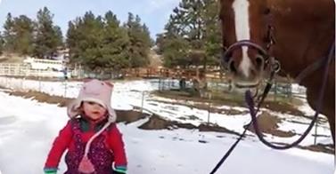 WATCH: This Little Girl and Her Horse Will Make You Melt!