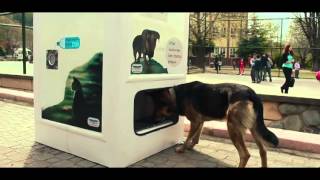 WATCH: Vending Machine Feeds Stray Animals!