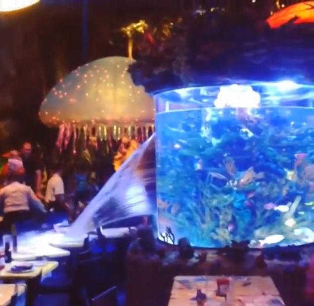 WATCH! Wet-n-Wild Video Captures Giant Fish Tank Bursting at Disney