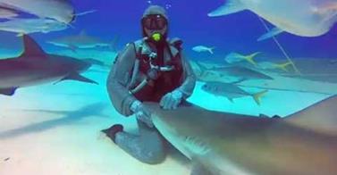 WATCH: Woman Swims and Even Pets Sharks!